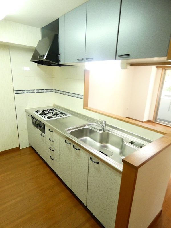 関寅ビル第5 キッチン