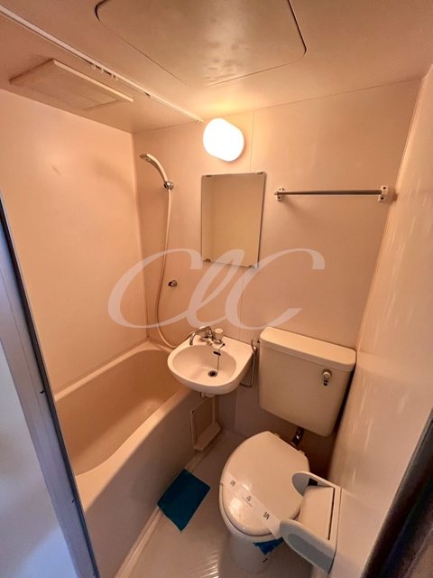 グリーンプラザ西綾瀬 風呂画像