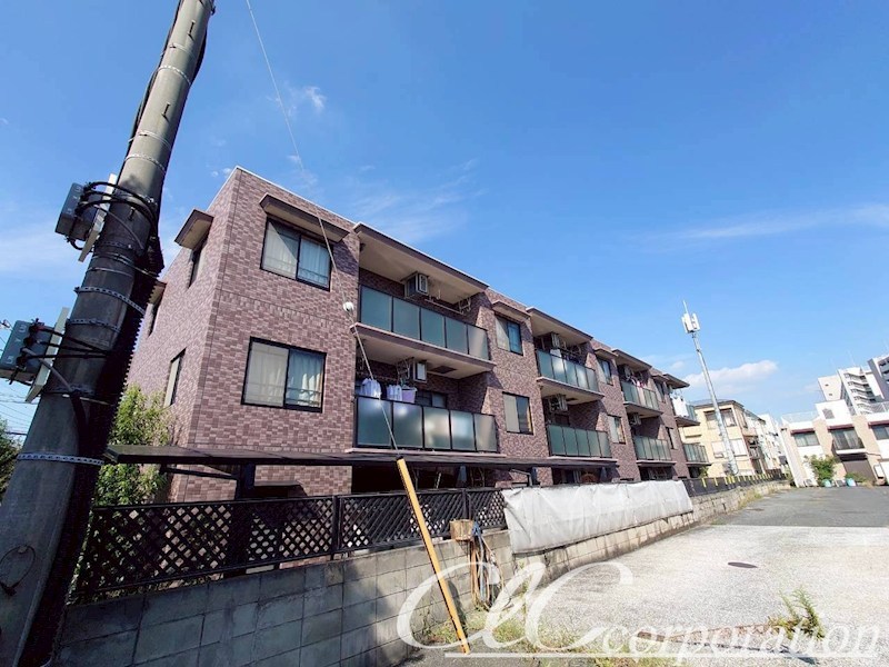 Primavera uno その他12