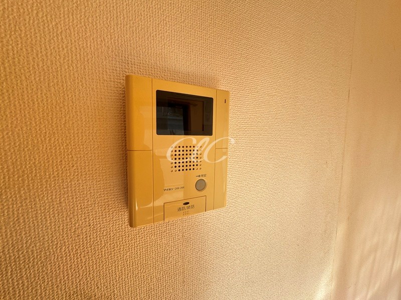 Primavera uno その他5