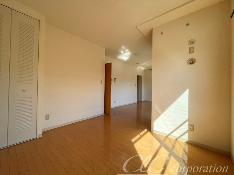 Primavera uno その他9