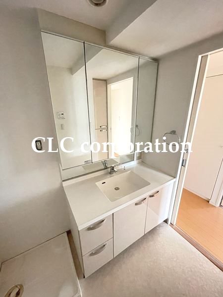 ニューシティアパートメンツ西大島 その他2