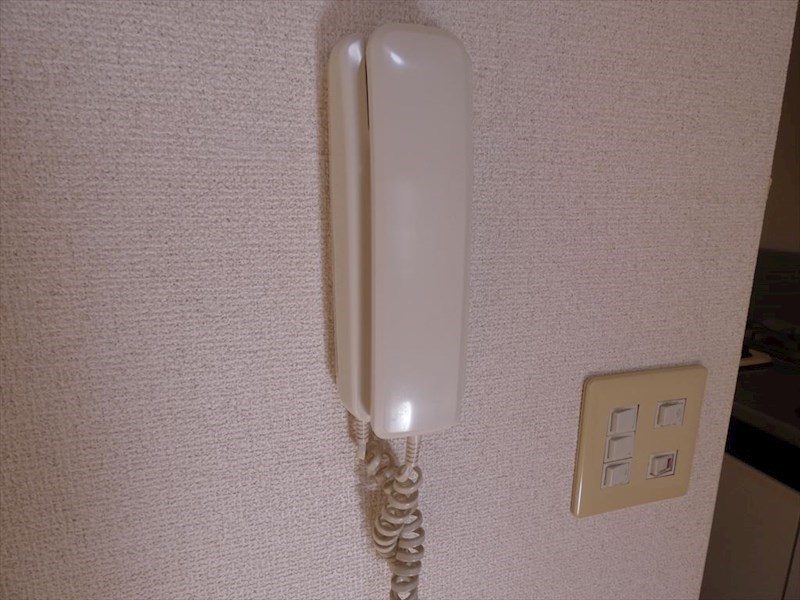 ノーブルイズミ その他9