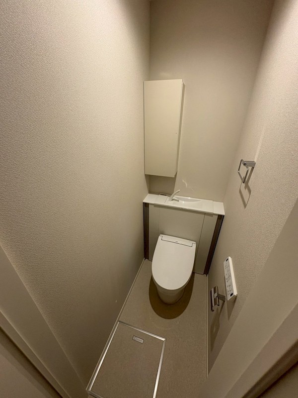 ｌ&amp;rsquo;ａｍｉ　ｄｅ　Ｌｉｏｎ その他1