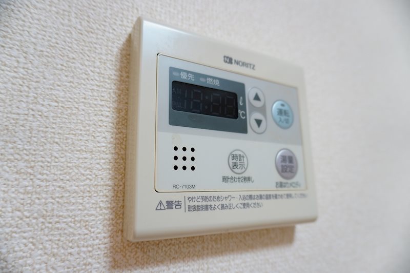 ロジェ  その他8