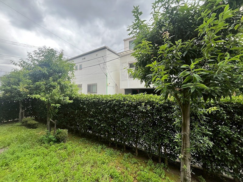 ケイティーズクリア その他6