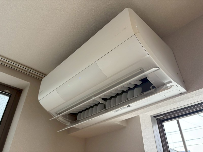 ｌ&amp;rsquo;ａｍｉ　ｄｅ　Ｌｉｏｎ その他4