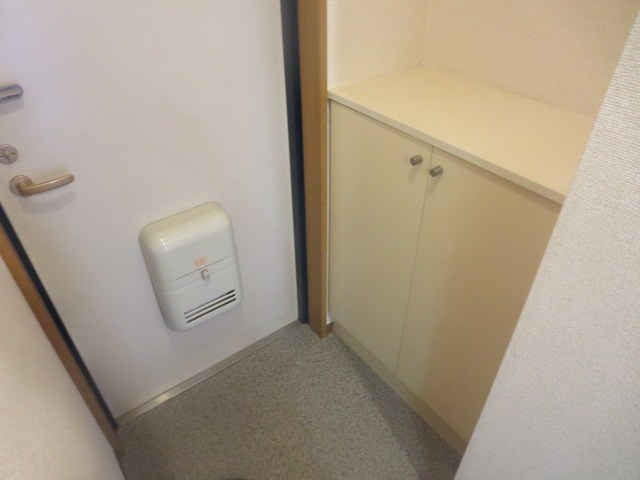 スカイマンション 玄関