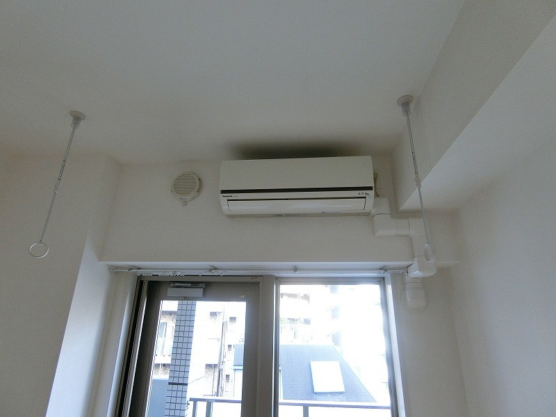 グレースランド  その他5