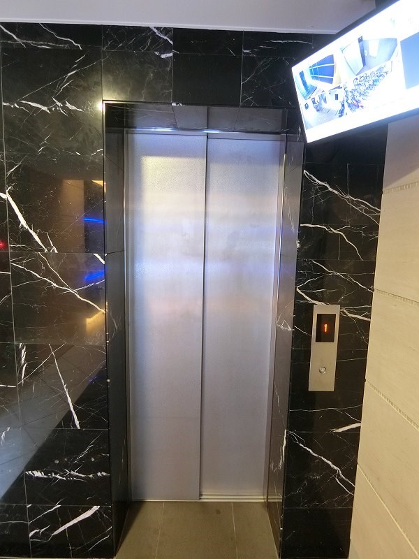 グレースランド  その他8