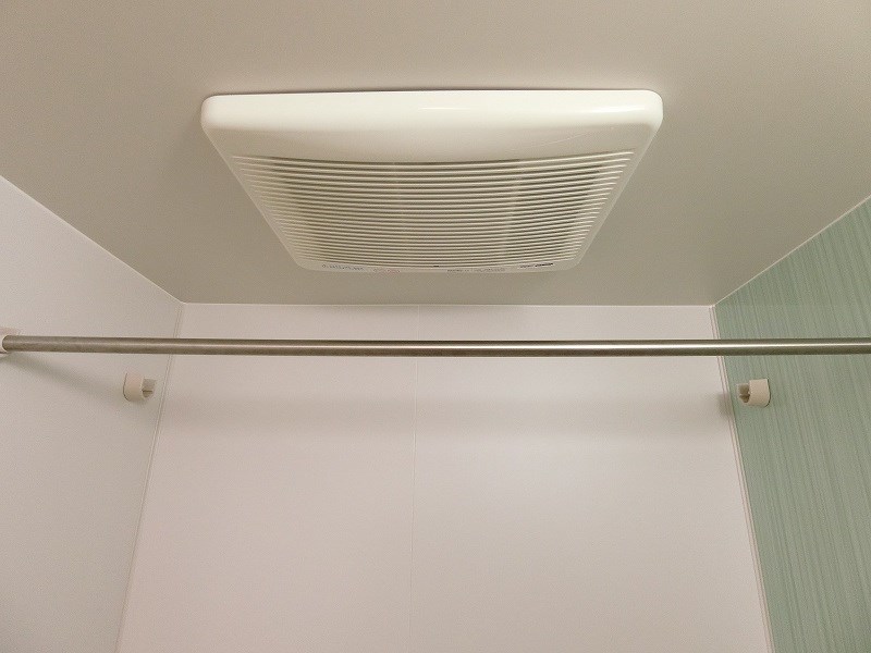 グレースランド  その他11