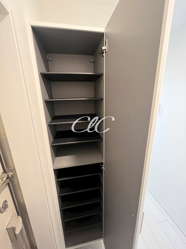 コルビジェⅣ その他3