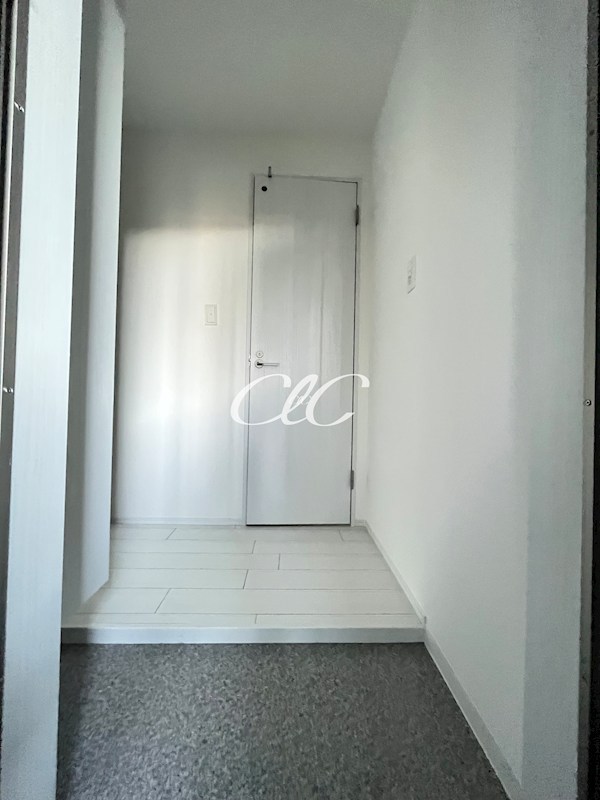 コルビジェⅣ 玄関