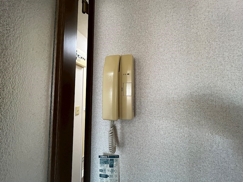 ５・マルゴ その他5