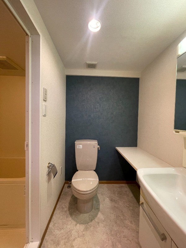 エピナール  その他2