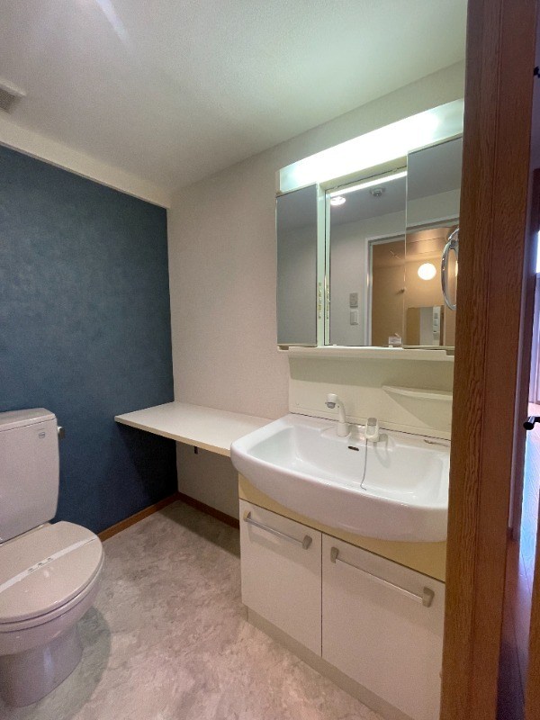 エピナール  その他3