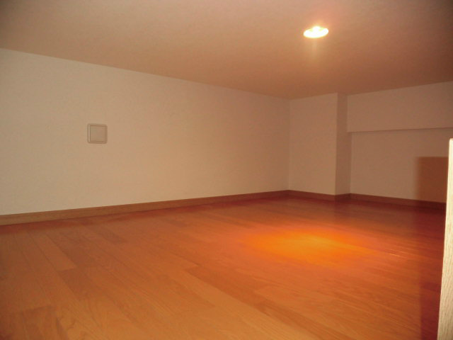 エピナール  その他5