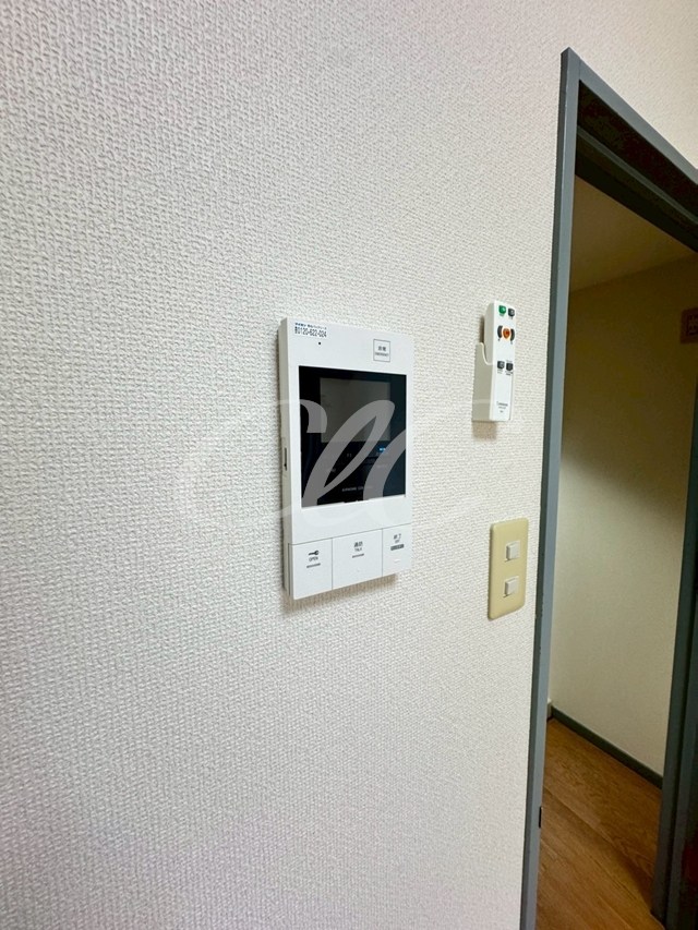 リムジェールピエス その他5