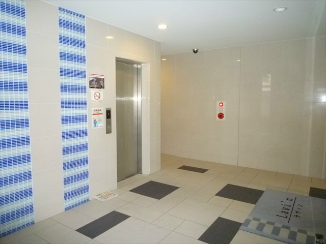 ラヴィン  その他7