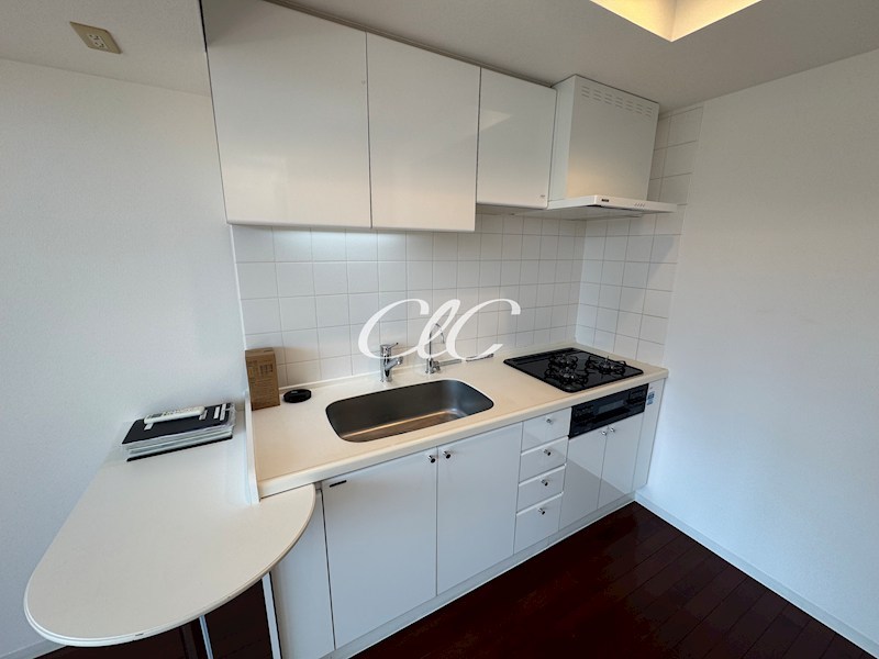 LANAI TOWN RENAISSANCE GRAND HIGHRISE キッチン