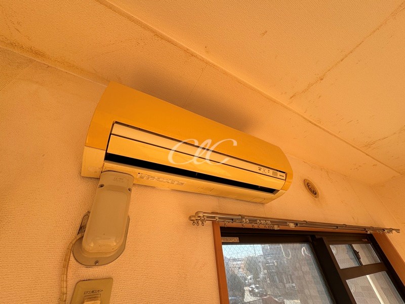 Primavera uno その他3