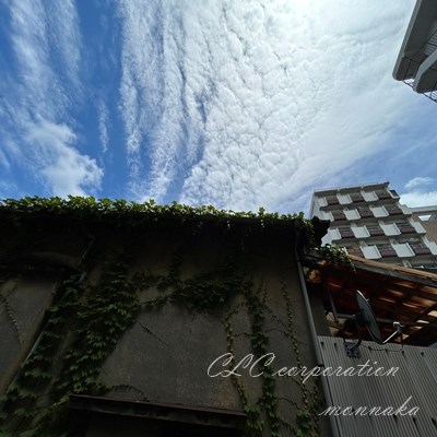 リバティパレス  その他6