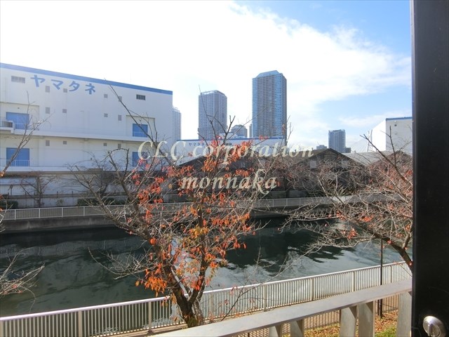 クオリアコート その他13