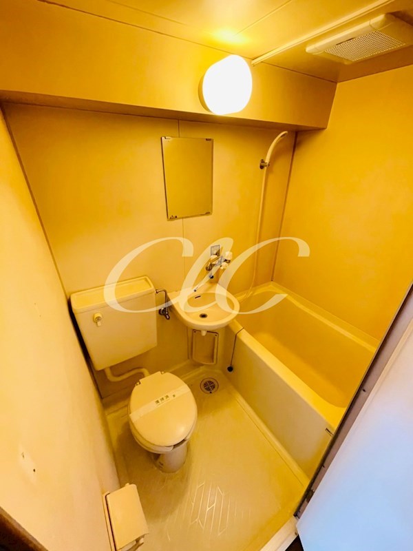 シティハイムカネカ 風呂画像