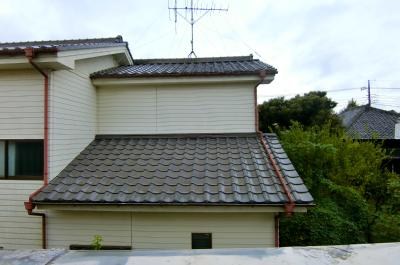 フラワーハイム その他5