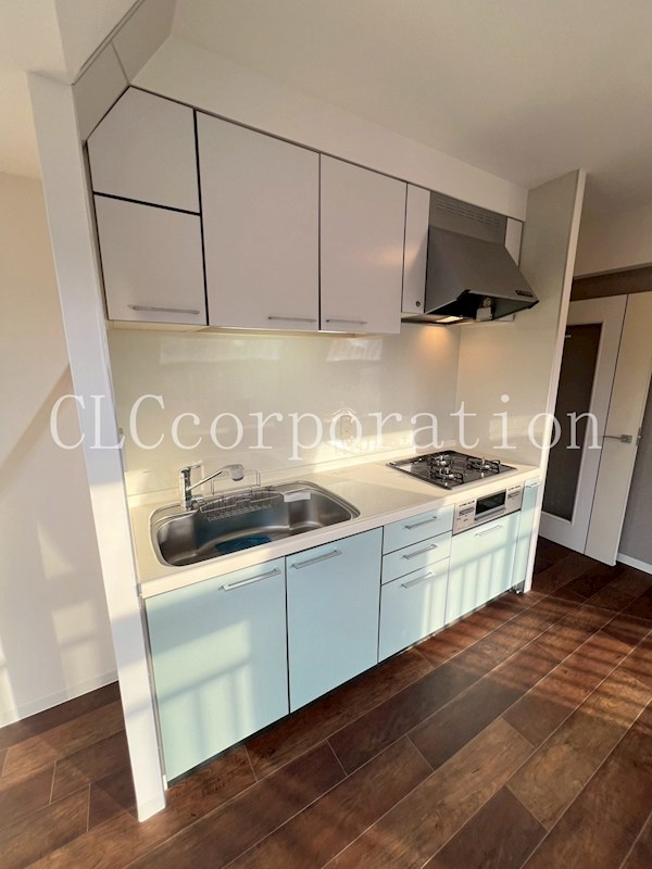 入谷アムフラットⅡ キッチン