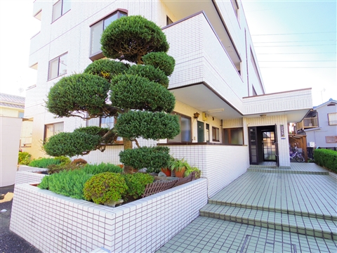 ハイライズ その他4