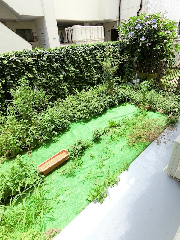 ニューサカエコーポ ベランダ