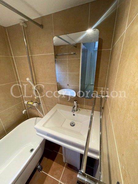 カラクムアチェリア その他2