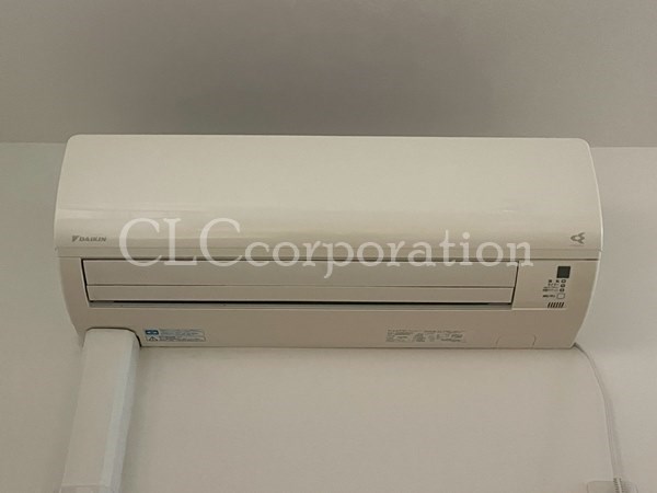 カラクムアチェリア その他3