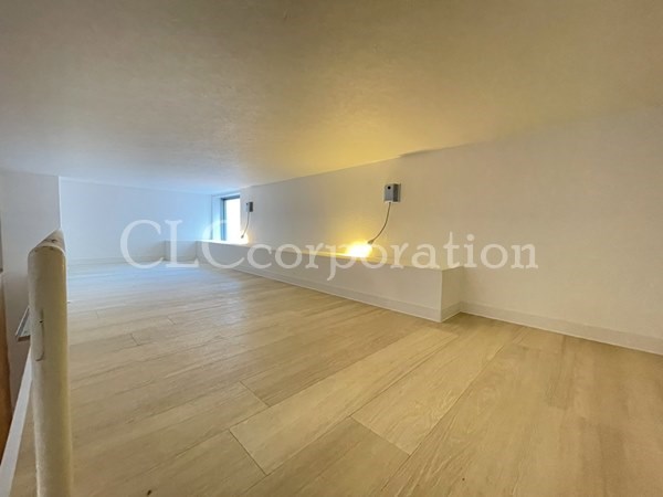 カラクムアチェリア その他11