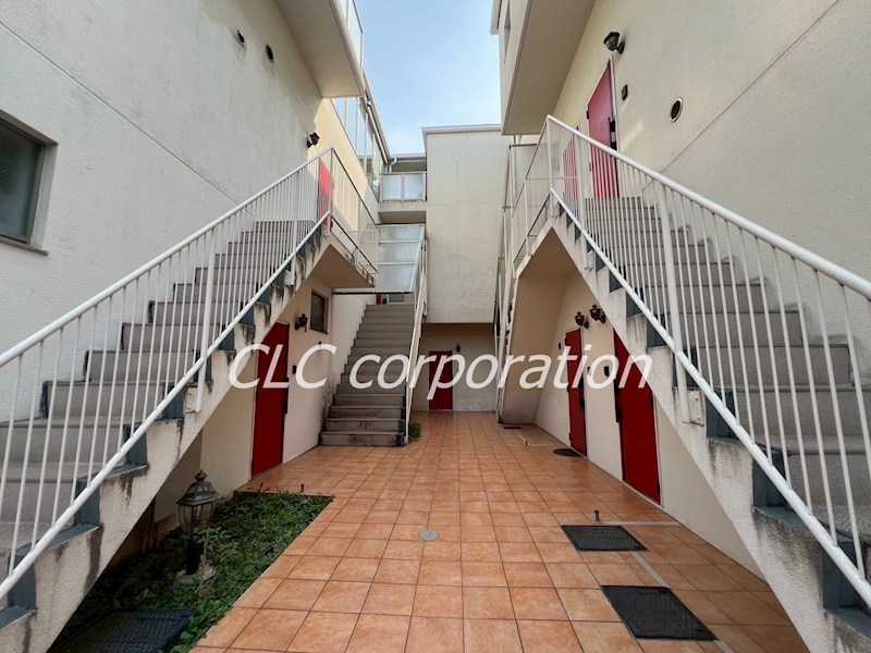 カラクムアチェリア 外観