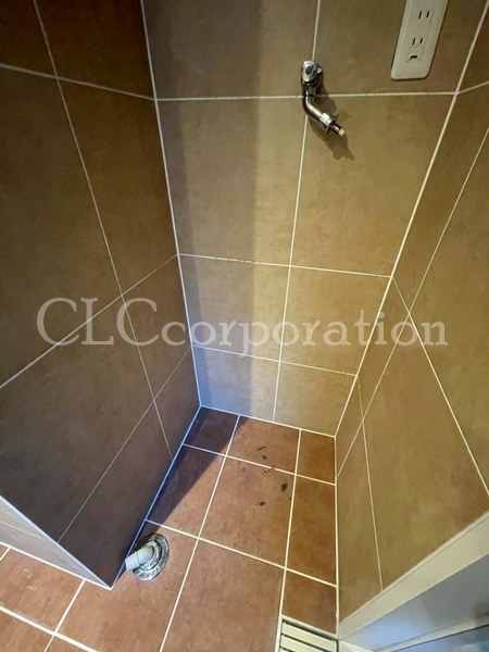 カラクムアチェリア その他4