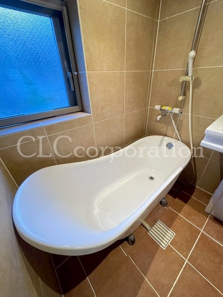 カラクムアチェリア その他12