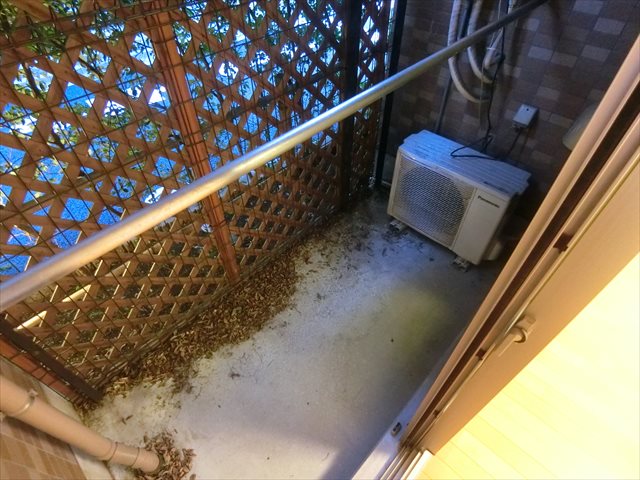 オプサス東尾久 ベランダ