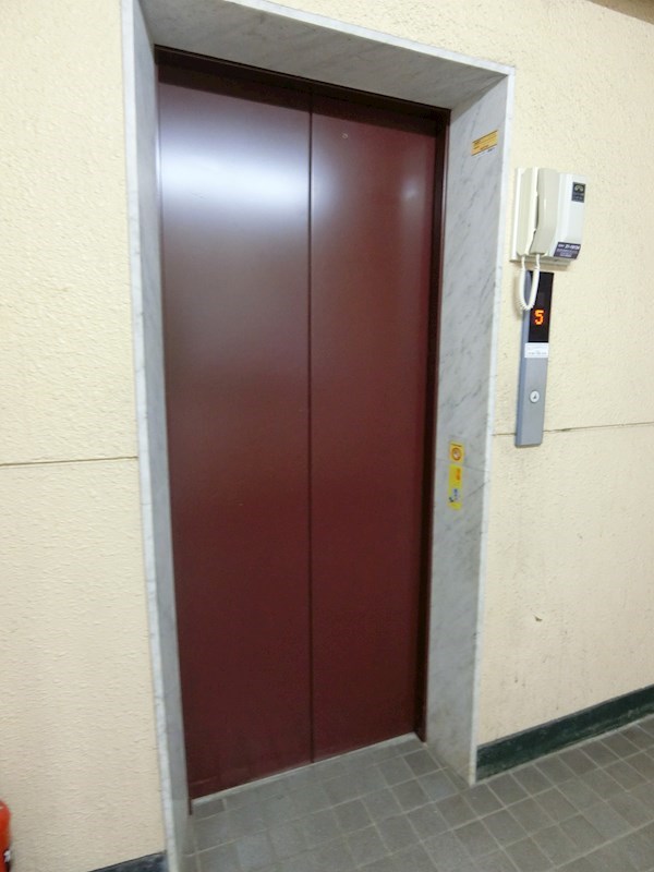 コートアオイ その他8