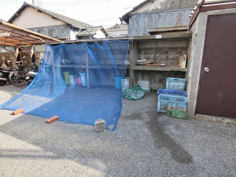 コートアオイ その他10