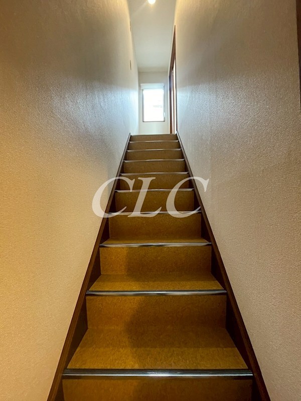 リベール根岸 その他12