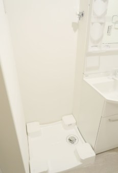 Coccinelle その他5