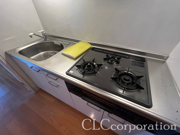 ディアウス両国  その他9