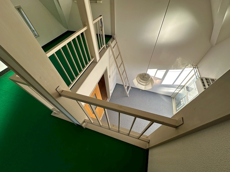 フラワーハイム その他7