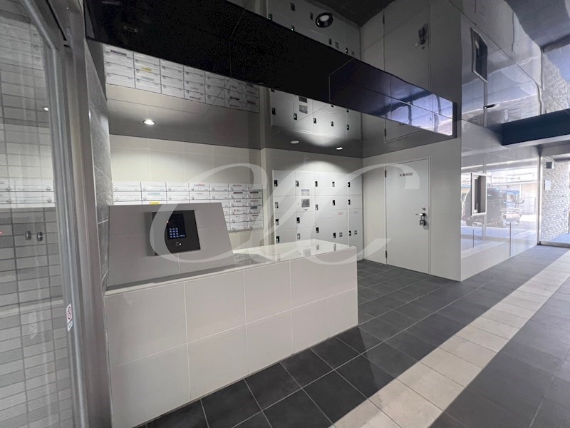 アルファコート西新井 その他10