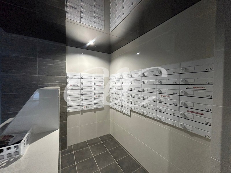 アルファコート西新井 その他11