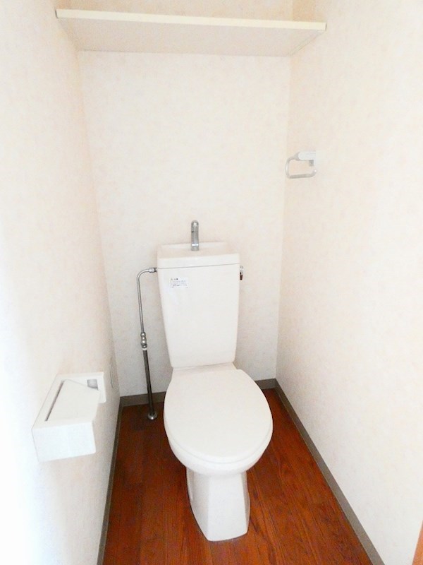 スプリングライト  その他4