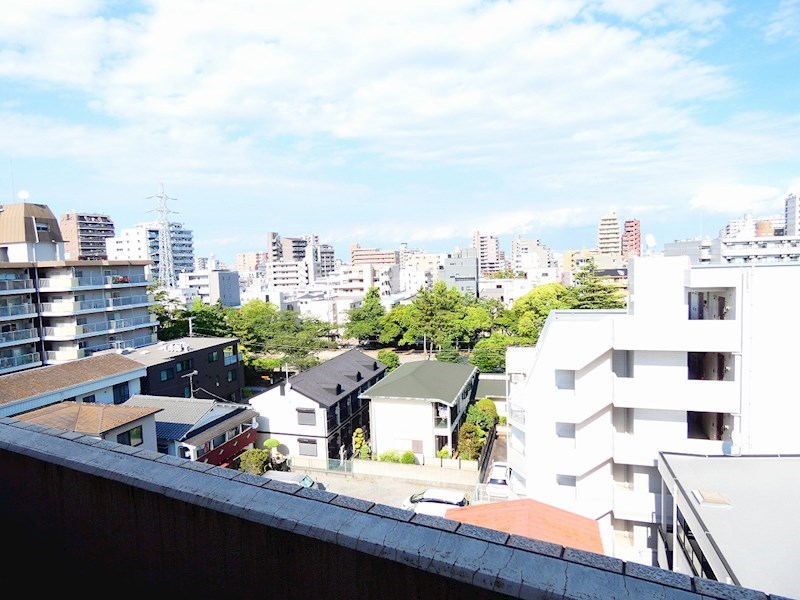 スプリングライト  その他8