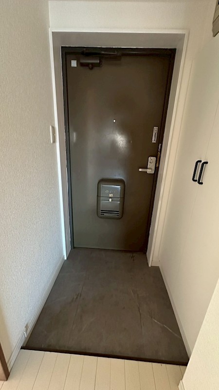 エクセレント丸太 玄関